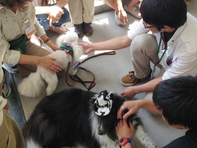 こどもと動物